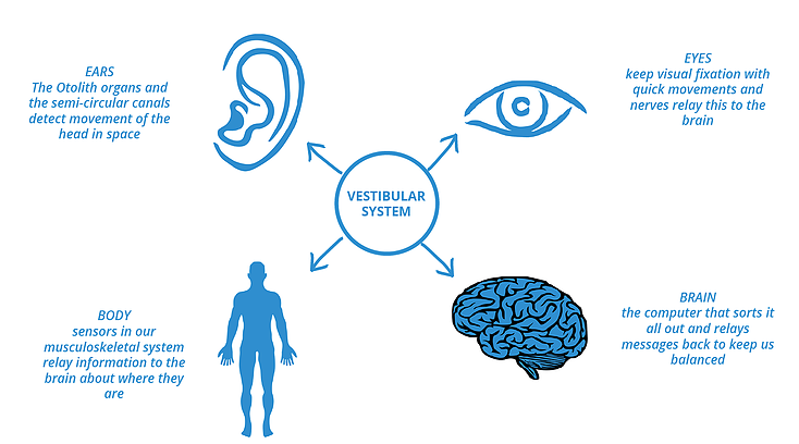 Vestibular Disorders: How to Improve Balance & Decrease Fall Risk